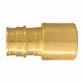 Homestead 0.75 in. PEX-A Barb T x 0.75 in. Dia Female Sweat Brass Adapter HO2739069